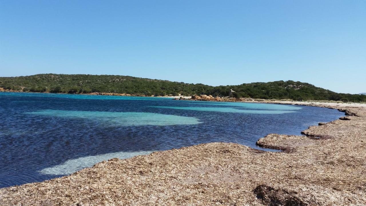 Casa Vacanze Della Maddalena Βίλα Λα Μανταλένα Εξωτερικό φωτογραφία