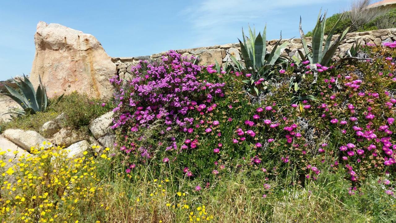 Casa Vacanze Della Maddalena Βίλα Λα Μανταλένα Εξωτερικό φωτογραφία