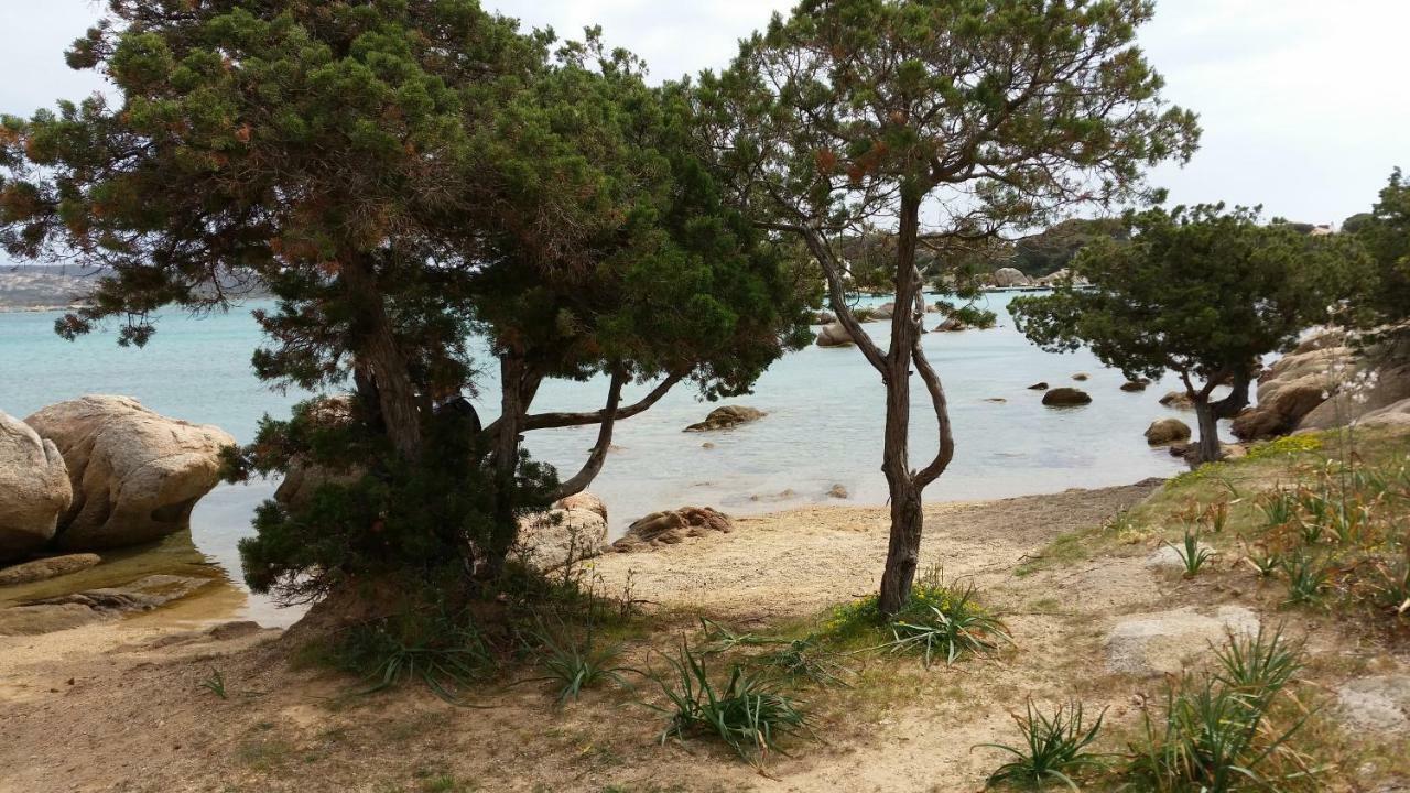 Casa Vacanze Della Maddalena Βίλα Λα Μανταλένα Εξωτερικό φωτογραφία